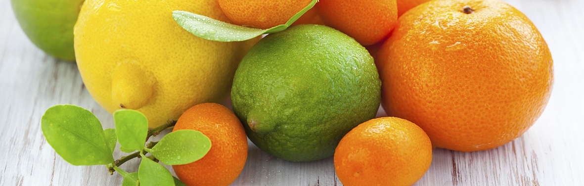 citrusfruit slider